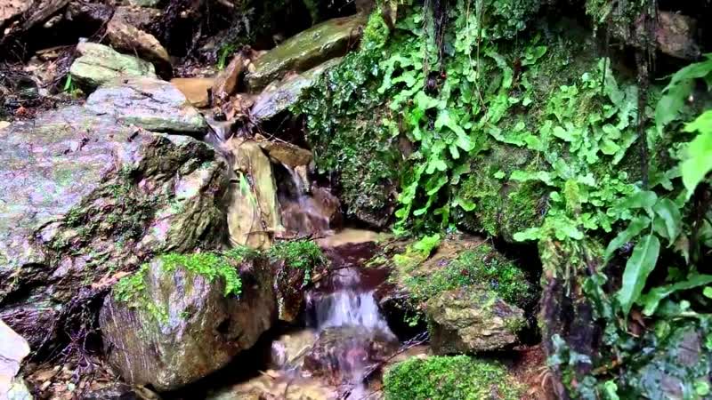 CJ AKO Stream Beats ( Demo Realton) Весна Новинки 2014 Пиано Relaxing Water Sounds