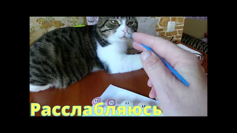 ВЛОГ: Бабушка сбежала из больницы, Помыла ковёр, что с ним