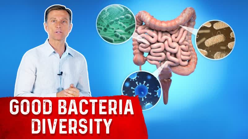 Increase Gut Bacteria Diversity: Heres