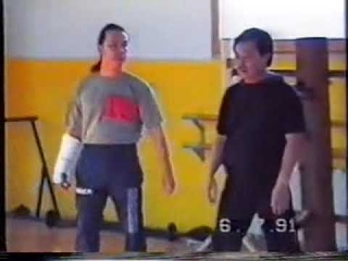 Wong Shun Leung Seminar in Spain 1 | @HamptonLegacyMA