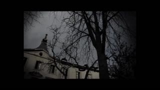 Cincoporciento