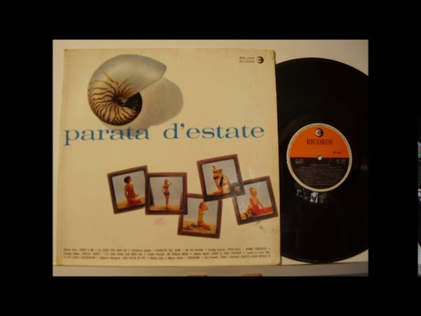 don powell amici