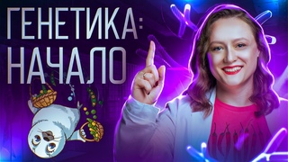 Генетика с нуля | ЕГЭ-2024 по биологии