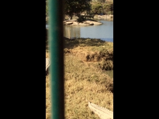 Crocofarm