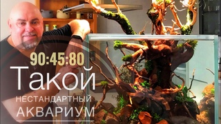 Нестандартный аквариум.