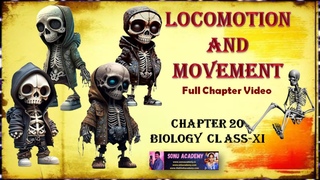 LOCOMOTION AND MOVEMENT || Chap-20 || #biology #class11 #neet #skeletalsystem