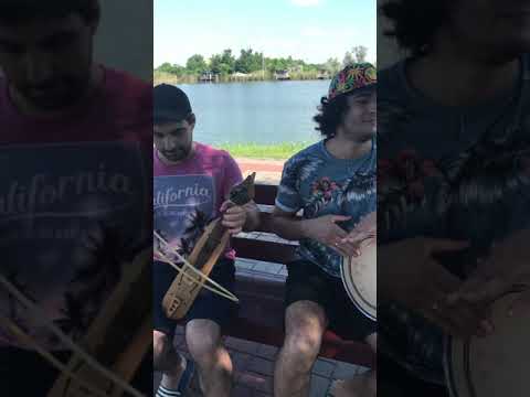 Сэра бар, мни. Альберт Чамян и Мехак