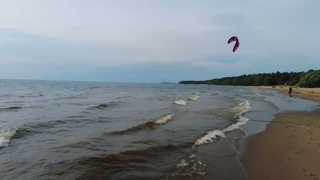 23 09 2023 СПб - Финский залив - Пляж “Ласковый“