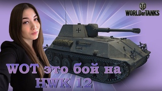 Подкрутки НЕ существует! Самый удачный бой на HWK 12!