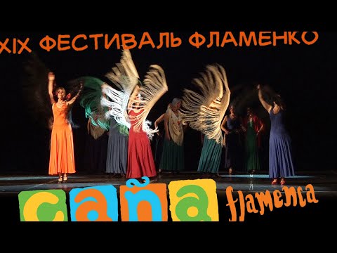 La Danza Folclorica de las Ocas , Студия Atrevida , рук. Юлия