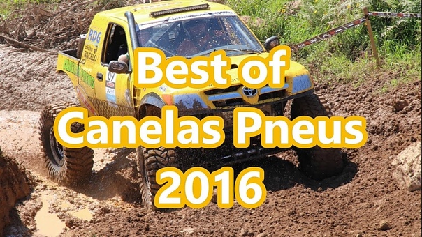 Best of Canelas