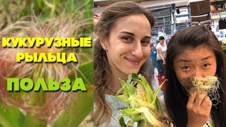 Кукурузные рыльца польза | Полезные свойства кукурузных рыльц