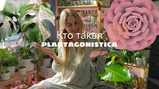 Я и моя коллекция растений