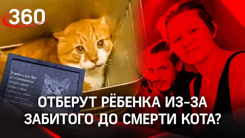 Замучившую до смерти кота Кузю пару могут лишить