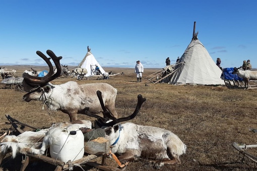 агентство северных территорий красноярского края