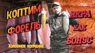 Солим и коптим красную рыбу (форель). Холодное копчение. РЫБА С ИКРОЙ, как засолить красную икру