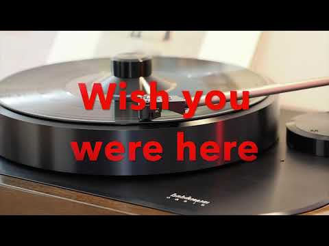 P ink Flo yd W ish You We re He re ( Ja pa n) a Brinkma nn, Te ch nics vinyl Re co