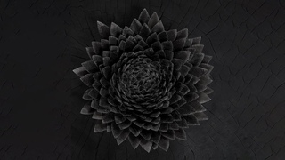 Jnsi  Obsidian (Full Album Stream)