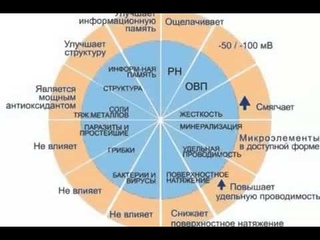 12 базовых свойств воды и продукты Coral Club  Ольга Бутакова