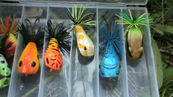 Casting Gabus Top Water Mimix Naga Jump 50 Test Lure Cn