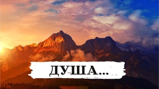 Не красивых людей не бывает | Красивые стихи, чтение стихов 🎙️