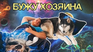 КАК ПРАВИЛЬНО ИЗДЕВАТЬСЯ НАД ХОЗЯИНОМ/ ЛАЙФХАК ОТ ХАСКИ