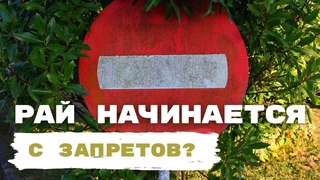 Рай начинается с запретов? Максим Каскун
