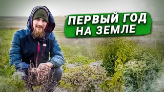 Что можно сделать в первыи год в родовом поместье