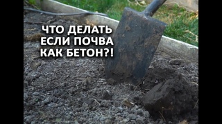 Что делать если почва как бетон!