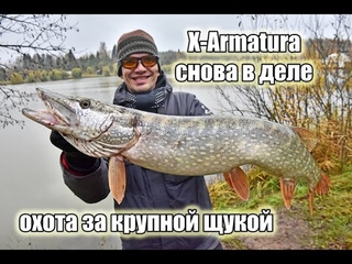 В поисках далекой щуки на пруду