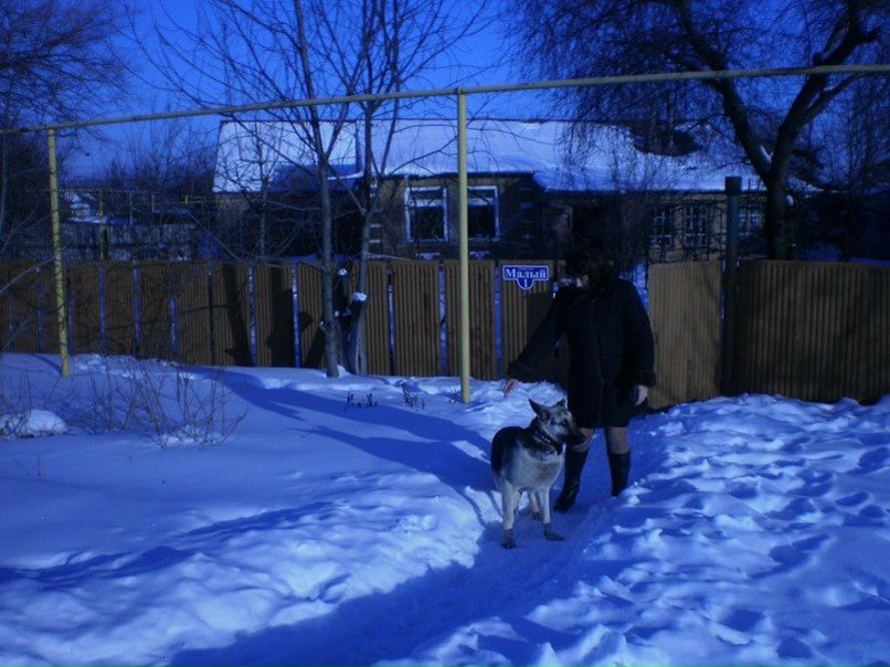 №14, Любовь Лотник №14, Любовь Лотник