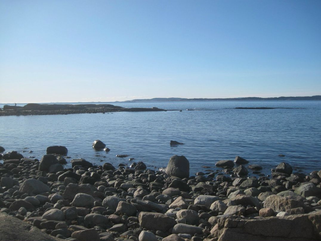 Елена Карлсен | Tønsberg