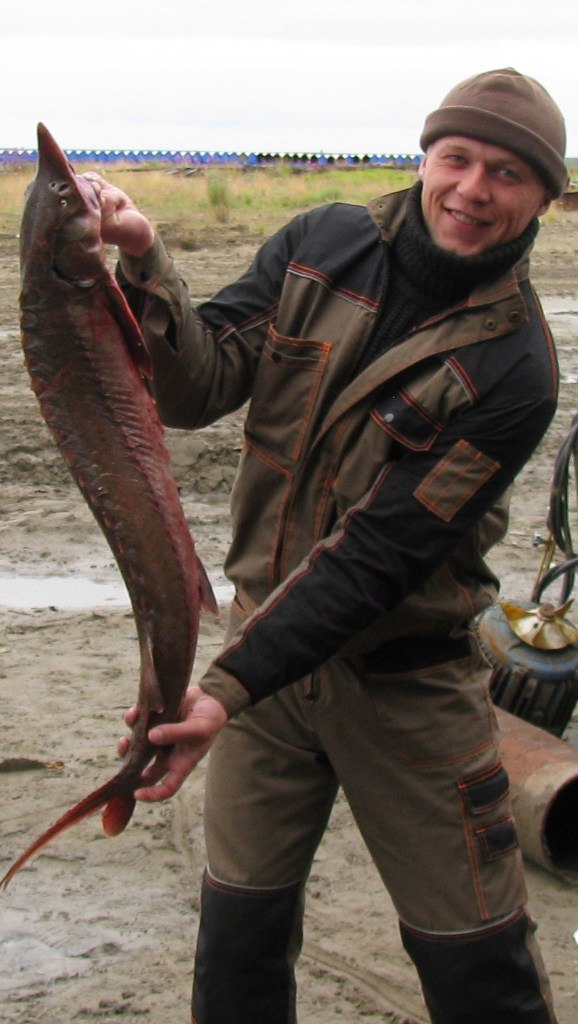 Алексей Красовский | 