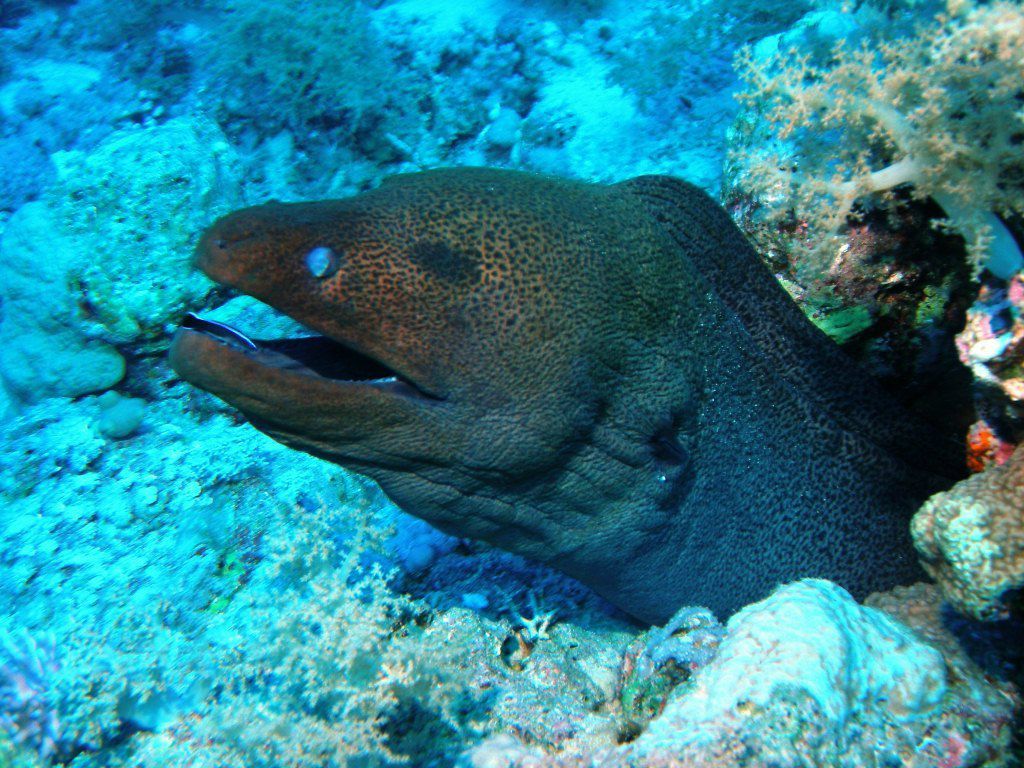 Леонид Сандалов | Санкт-Петербург