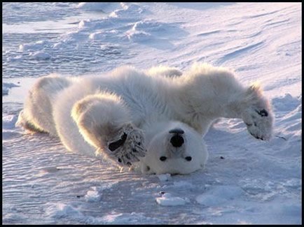 Pavel Guchi | Санкт-Петербург