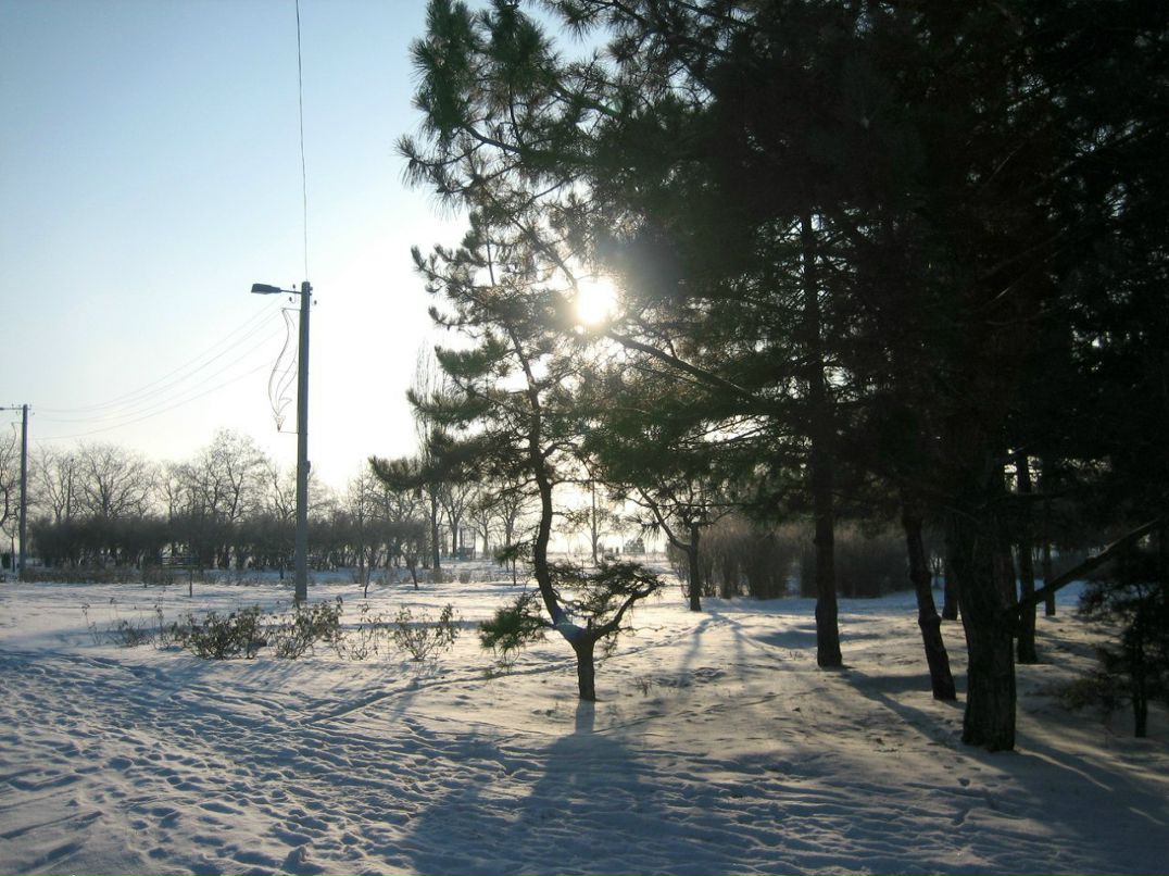 Наталия Плюхина | Черноморск / Ильичевск