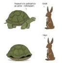 №40 Анастасия Майская : профиль, фото, статус - ВКонтакте