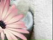 Лилия Клавденкова | Красный Холм