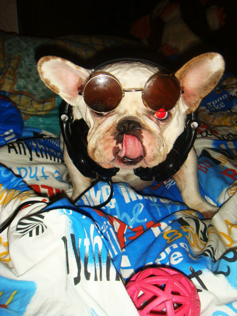 Мария Ульянова | Санкт-Петербург