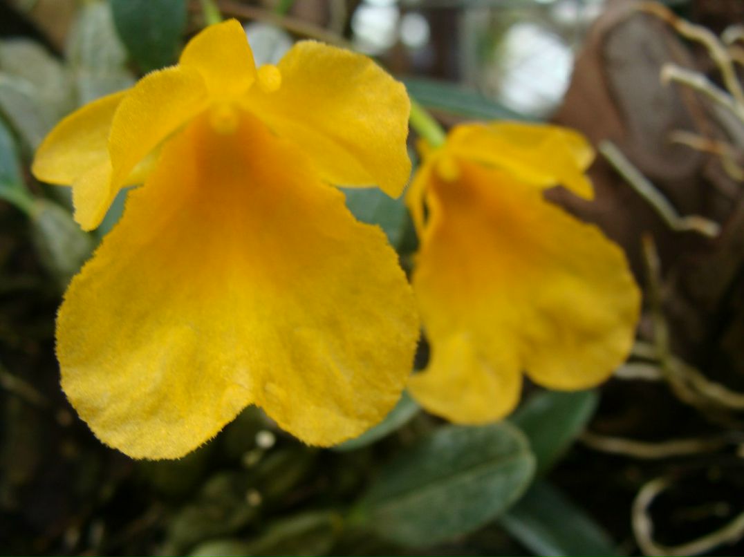 Руслан Рахмангулов | Уфа