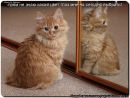 №15 Ирина Лескина 06.06.1999: профиль, фото, статус - ВКонтакте