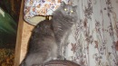 Фотография Косс Ксении