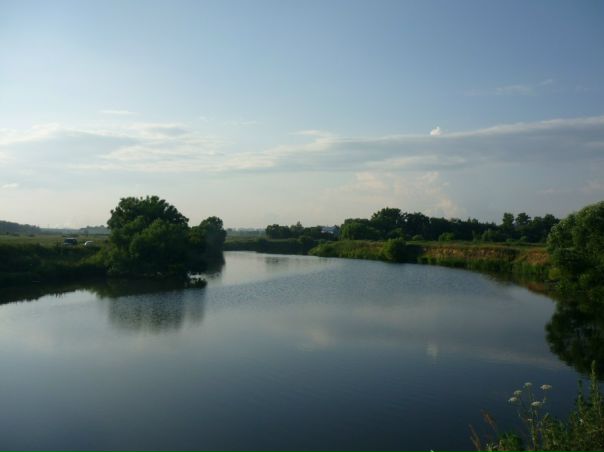 №82, Лейла Гусова, 42 года №82, Лейла Гусова, 42 года