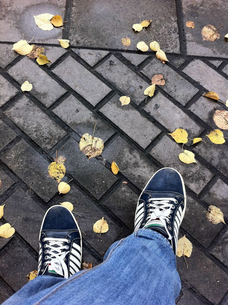 Daniel Umarov | Москва