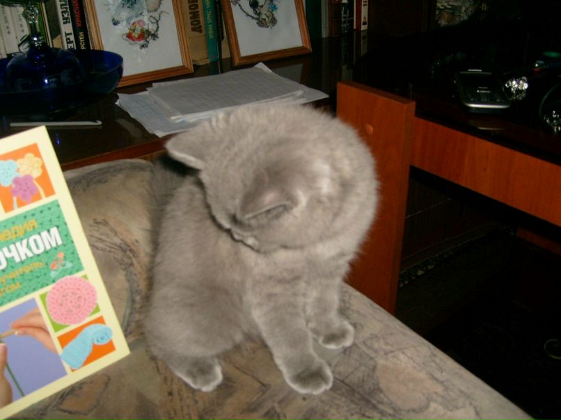 Владимир Виноградов | Санкт-Петербург