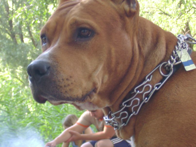 Eva Braun | Киев