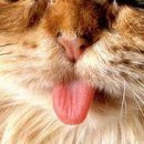 №15, Мария Косенко, Кривой Рог №15, Мария Косенко, Кривой Рог