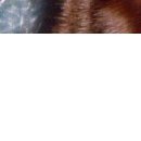 №40, Мария Косенко, Кривой Рог №40, Мария Косенко, Кривой Рог