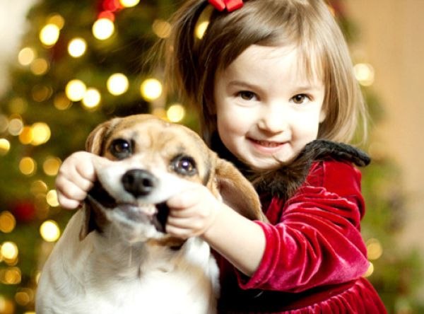 Аниса Муха | Москва