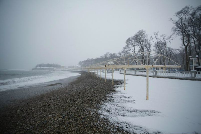 Виталий Дубовой | Старобельск